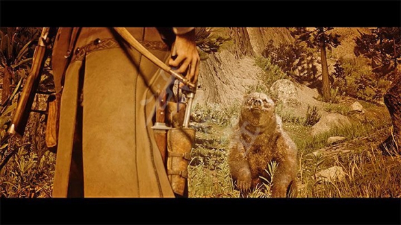 荒野大镖客2传奇熊怎么杀(荒野大镖客2传奇熊放弃了还能杀熊吗)