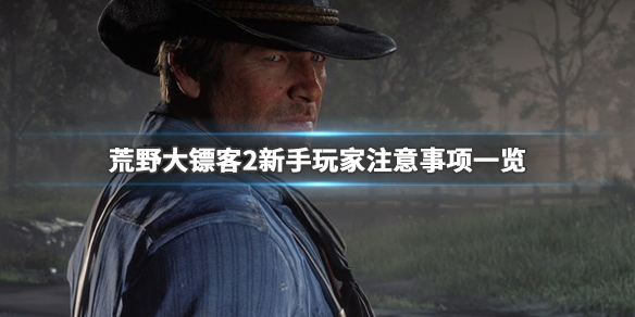 荒野大镖客2纯新手攻略(荒野大镖客2纯新手攻略大全)