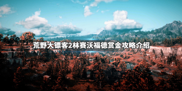 荒野大镖客2林赛沃福德金枪怎么拿（荒野大镖客2 林赛伍德 枪）