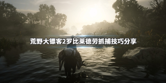 荒野大镖客2罗比莱德劳抓捕技巧分享（荒野大镖客2史特劳斯被赶走）