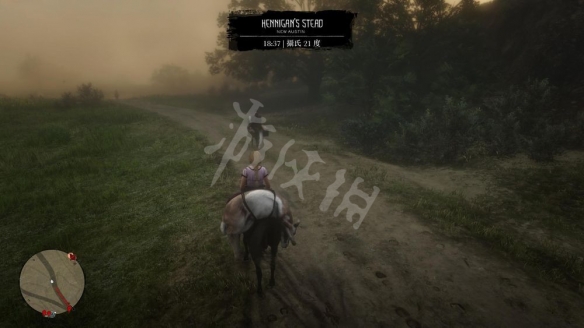 荒野大镖客2线上怎么赚钱 荒野大镖客2线上赚金条攻略指南_网