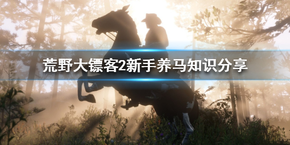 荒野大镖客2新手怎么养马 荒野大镖客2新手怎么养马车