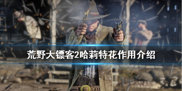 荒野大镖客2哈莉特花有什么用（荒野大镖客2哈利特花怎么用）