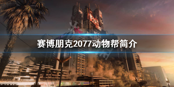 赛博朋克2077动物帮是做什么的 赛博朋克2077怎么成为动物帮老大