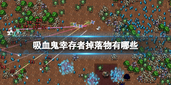 吸血鬼幸存者掉落物有哪些 吸血鬼幸存者掉落物有哪些图片