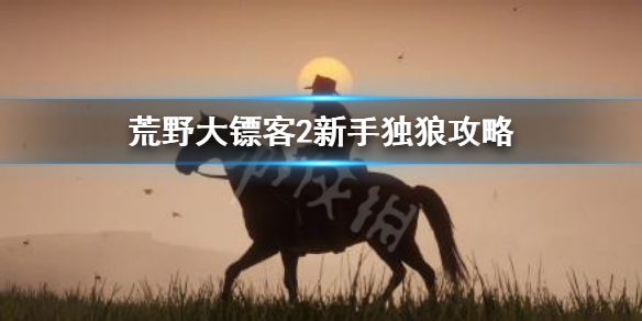 荒野大镖客2新手独狼怎么玩（荒野大镖客2 新手）