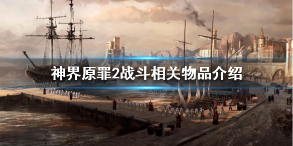 神界原罪2战斗相关物品有哪些（神界原罪2特殊物品）