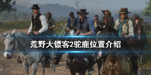 荒野大镖客2驼鹿位置介绍(荒野大镖客2驼鹿的位置)