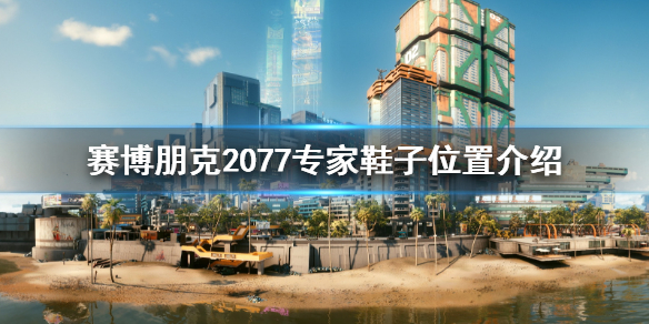 赛博朋克2077专家鞋子在哪（赛博朋克20773孔鞋子）