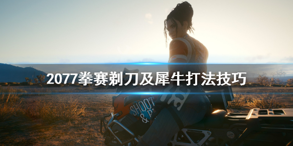 赛博朋克2077拳赛犀牛怎么打(赛博朋克2077 拳)