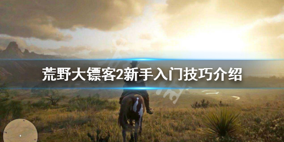 荒野大镖客2新手玩法技巧大全（荒野大镖客2新手教程）