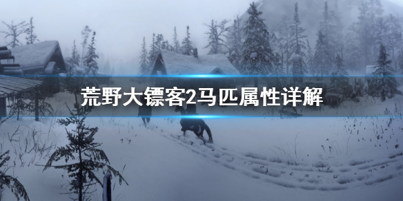 荒野大镖客2马匹属性怎么看 荒野大镖客2全马匹属性