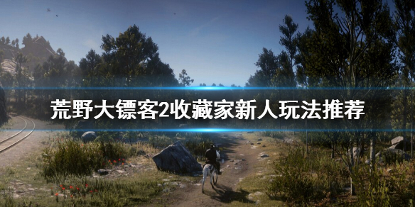 荒野大镖客2收藏家怎么上手 荒野大镖客2收藏家怎么开始