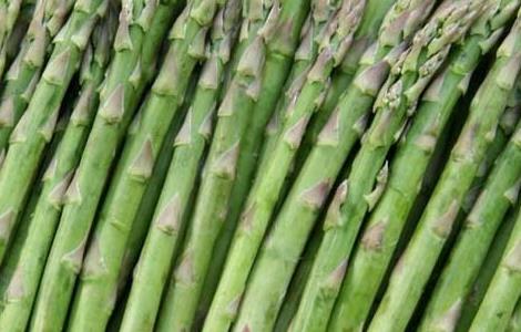 芦笋的产地有哪些地方?（芦笋产自哪个地方）