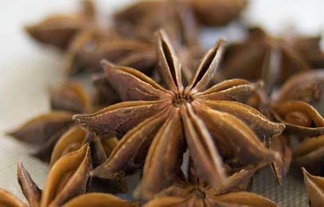 八角是什么 八角是什么科