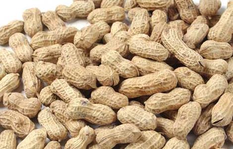 我国花生产地主要有哪些对方 我国花生产地主要有哪些对方种植