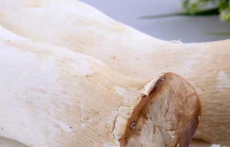 杏鲍菇的产地在哪里（杏鲍菇的产地联系方式）