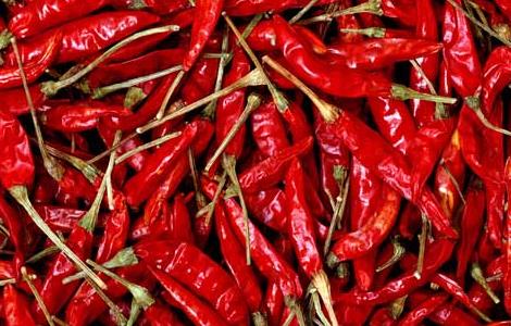 辣椒的产地是哪些地方（辣椒的产地是哪些地方好）
