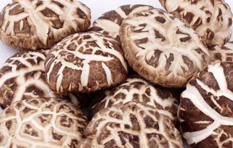 花菇与香菇的区别有哪些 花菇和香菇的区别 花菇和香菇哪个好