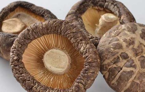 香菇和冬菇的区别