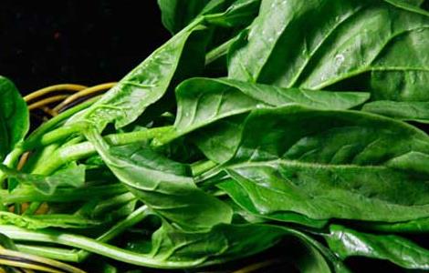 菠菜不能和什么一起吃 菠菜不能和什么一起吃 食物相克表