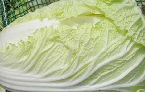 大白菜的产地分布有哪些 大白菜的产地分布有哪些国家