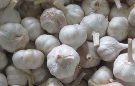 大蒜的产地分布（大蒜的产地分布在哪里）