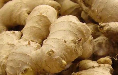 生姜的产地分布（中国生姜产地分布图）