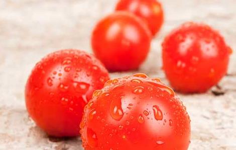 圣女果产地在哪里(千禧圣女果产地在哪里)