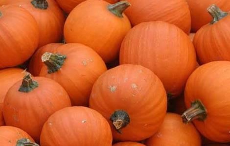 南瓜产地在哪里 中国最大南瓜产地在哪里