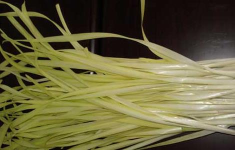 韭黄的种植方法（韭黄的种植方法与技巧视频）