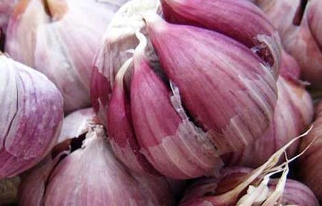 种植大蒜用什么肥料好（种植大蒜用什么肥料好些）