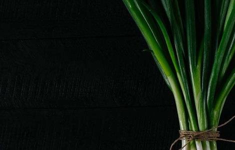 大葱高产的原因 大葱高产的原因分析