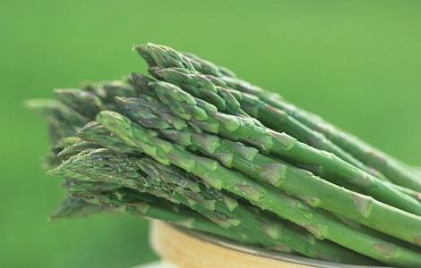 芦笋怎么种植（芦笋怎么种植根苗）