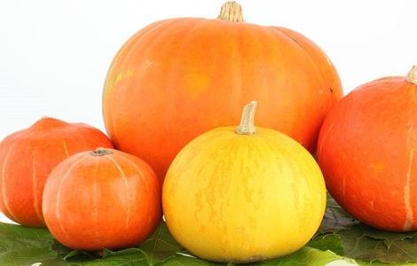 南瓜高产的种植方法（南瓜的高产栽培技术）