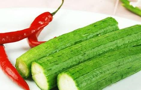 丝瓜的种植时间与育苗方法（丝瓜的种植时间与育苗方法视频）