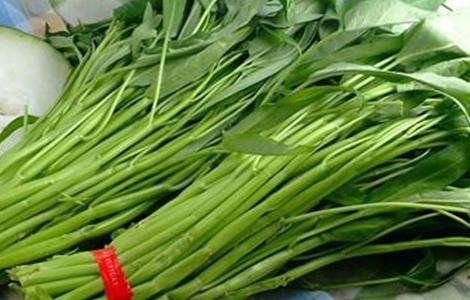 空心菜常见病害及防治(空心菜常见病害及防治措施)