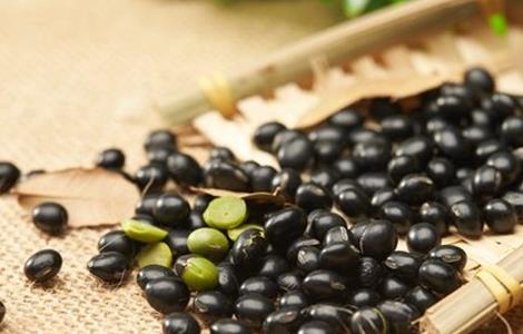 黑豆种植注意事项（黑豆种植注意事项有哪些）