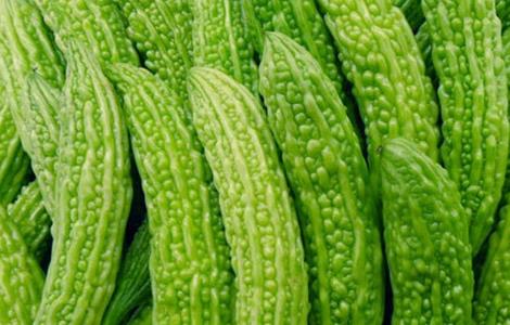 苦瓜常见病害及防治（苦瓜常见病害及防治方法）