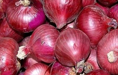 洋葱生长异常的原因 洋葱生长异常的原因有哪些