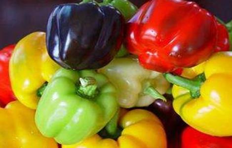 甜椒的种植时间与方法 甜椒的种植方法和时间