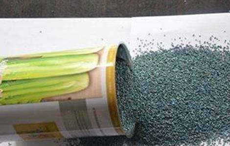 芹菜的催芽方法 芹菜的催芽方法是什么