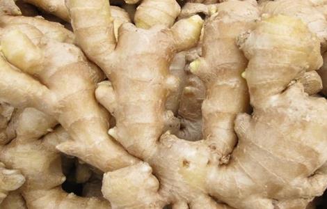 生姜的种植技术(生姜的种植技术和病虫害防治)