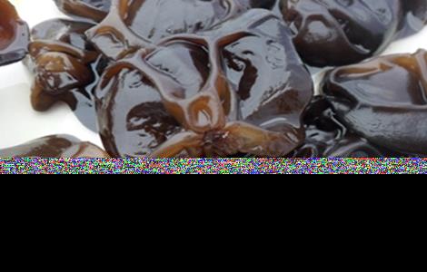 黑木耳种植的注意事项(黑木耳种植的注意事项视频)