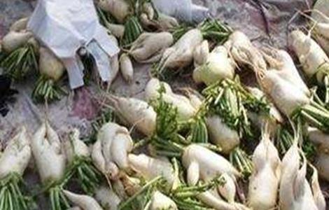 萝卜畸形根的原因及防治方法 胡萝卜根畸形的原因