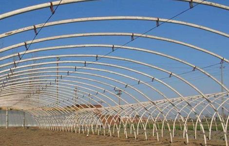 蔬菜大棚常见种植方式（蔬菜大棚的种植）