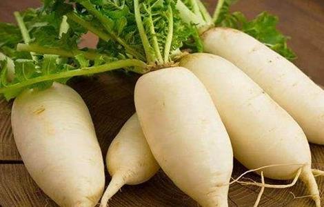 萝卜该怎么种植 萝卜该怎么种植?萝卜的种植方法和时间