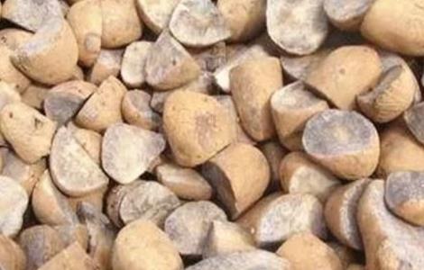 马铃薯切块种植技术 马铃薯怎么切种植