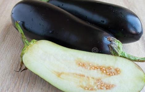 茄子种子催芽方法 茄子种子催芽方法视频