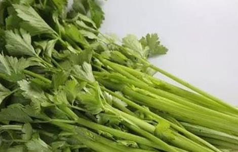 秋冬温室芹菜空心是什么原因 空心菜栽培温度